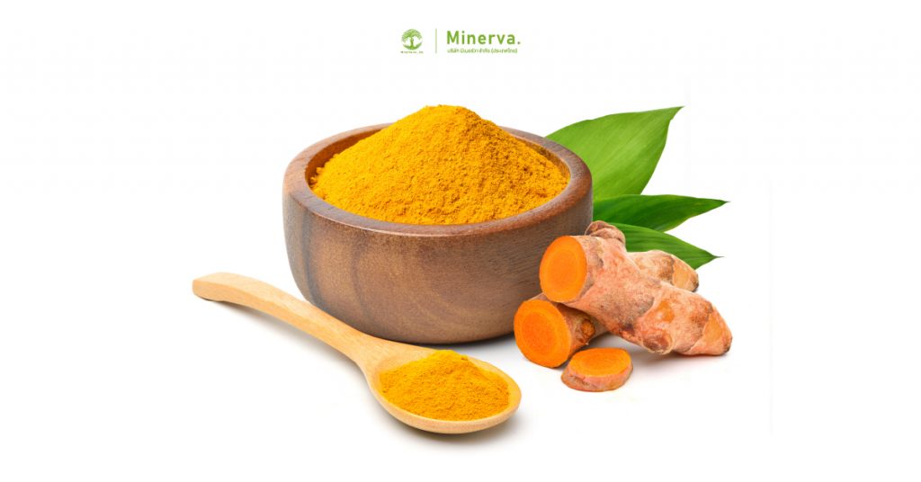 ข้อมูลทางเภสัชวิทยาของขมิ้นชัน