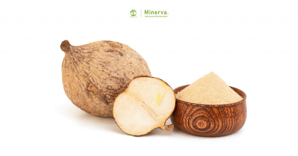 ข้อมูลทางเภสัชวิทยาของกวาวเครือขาว